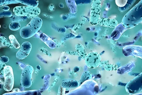 Najlepšie probiotika | MEDIKAMENT