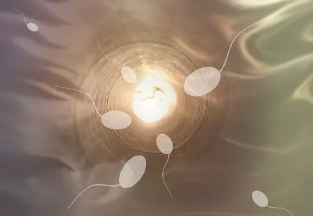 Neplodnosť u mužov - aké sú príčiny, príznaky a možnosti liečby?