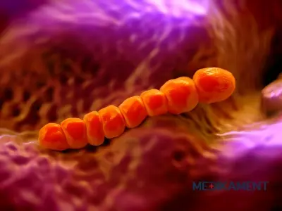 Aké ochorenia môže spôsobiť pneumokok u detí a dospelých?