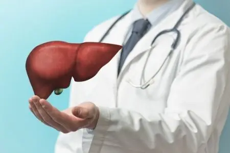 Ochorenia pečene - príčiny bolesti pečene ako ju liečiť?| MEDIKAMENT