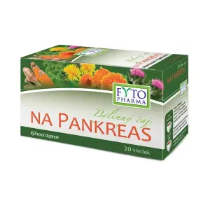 AGROKARPATY PANKREAS Kláštorný čaj vrecúška 20 x 2 g 