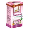 AGROKARPATY PROSTATA Vŕbovkový čaj vrecúška 20 x 2 g 
