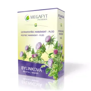 MEGAFYT BL PESTREC MARIÁNSKY - plod bylinný čaj 130 g