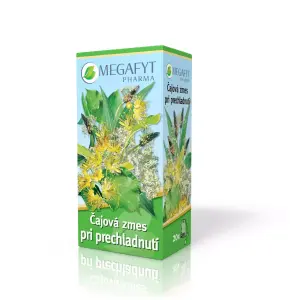 MEGAFYT Čajová zmes pri prechladnutí 20 x 1,5 g 