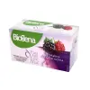 Biogena Fantastic Tea Malina & Ostružina ovocný čaj 20 x 2,2 g 