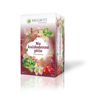 MEGAFYT Na každodenné pitie bylinný čaj 20 x 1,5 g 