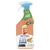 Mr. Proper Mandarine Spray 800 ml 