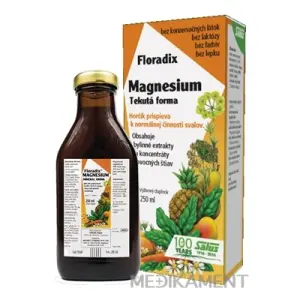 SALUS Floradix Magnesium tekutá forma 250 ml