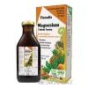 SALUS Floradix Magnesium tekutá forma 250 ml