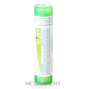 AESCULUS HIPPOCASTANUM GRA HOM CH5 1x4 g