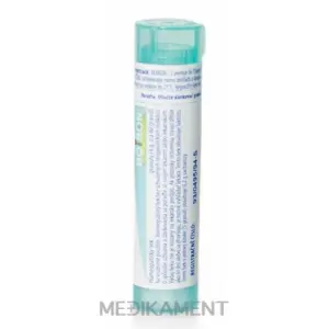 Boiron APIS MELLIFICA granule CH200 4 g