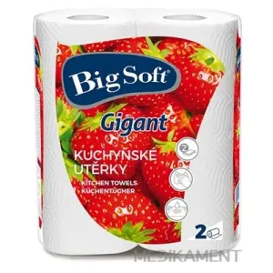 Big Soft Gigant Papierové kuchynské utierky kotúče 1x2 ks