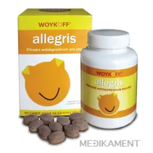 allegris tbl CANIS so syrovou príchuťou 1x60 ks