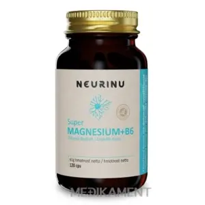 NEURINU Super MAGNESIUM+B6 kapsuly 120 ks
