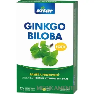 VITAR GINKGO BILOBA FORTE cps 1x60 ks