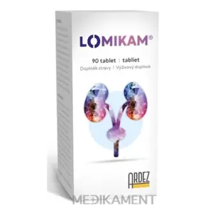 LOMIKAM tablety 90 ks