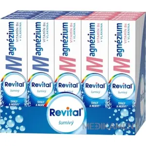 Revital Magnézium + B6 šumivý MIX BOX šumivé tablety 2 príchute 20 x 20 ks 