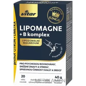VITAR KINGS LIPOMAGNE + B komplex prášok vo vrecúškach 20 ks