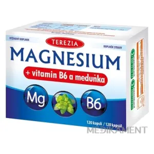 TEREZIA MAGNESIUM + vitamin B6 a medovka kapsuly 120 ks