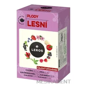LEROS ČAJOVÁ CHVÍĽKA PLODY LESNÉ bylinný čaj  20x2,2 g