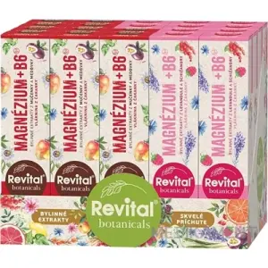 Revital Botanicals Magnézium + B6 šumivý MIX BOX tbl eff (2 príchute) 1 set
