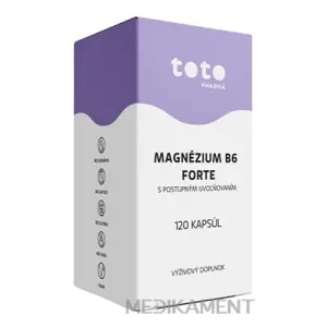 TOTO MAGNÉZIUM B6 FORTE kapsuly s postupným uvoľňovaním 120 ks