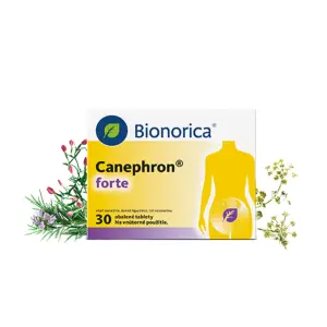 Canephron forte tablety 30 ks