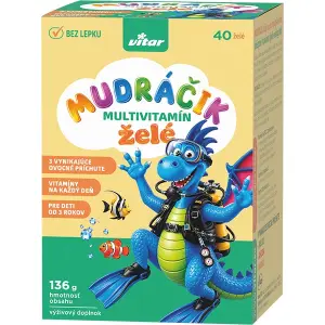 VITAR MUDRACIK multivitamín želé 40 ks