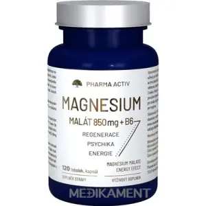 Pharma Activ MAGNESIUM Malát + B6 kapsuly 120 ks
