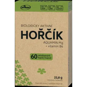 VITAR HORČÍK AQUAMIN Mg + vitamín B6 kapsuly 60 ks